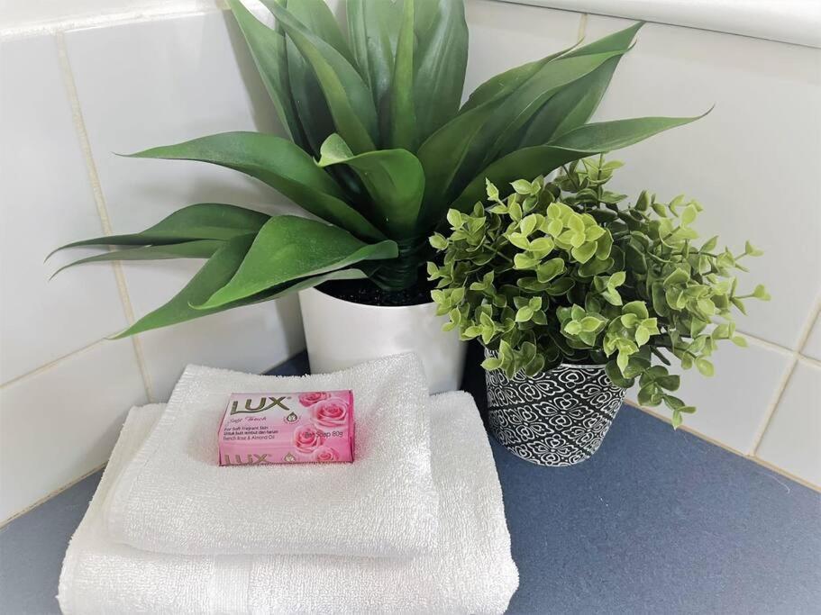 Three Palms Unit 1 Apartment Esperance